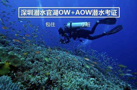 拯救被困王国