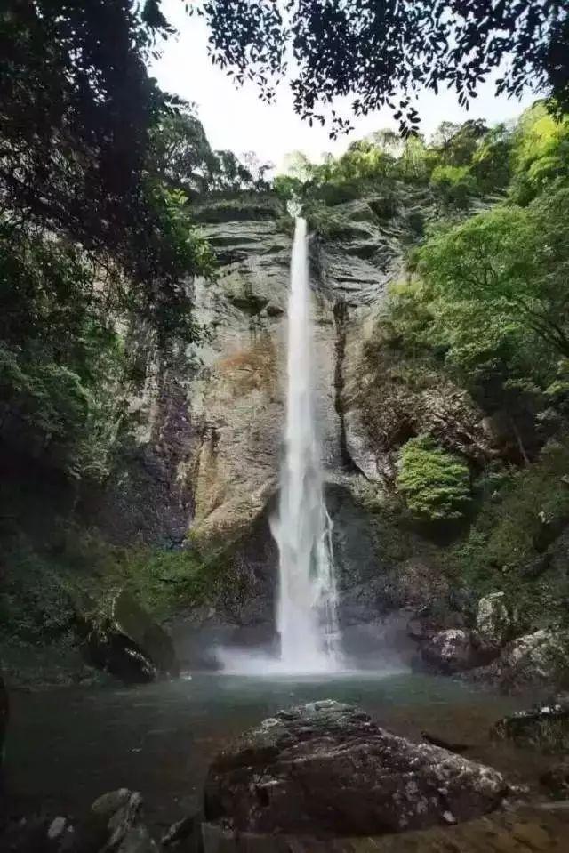 《以案释法》第三期：消费券恶意套现不可取